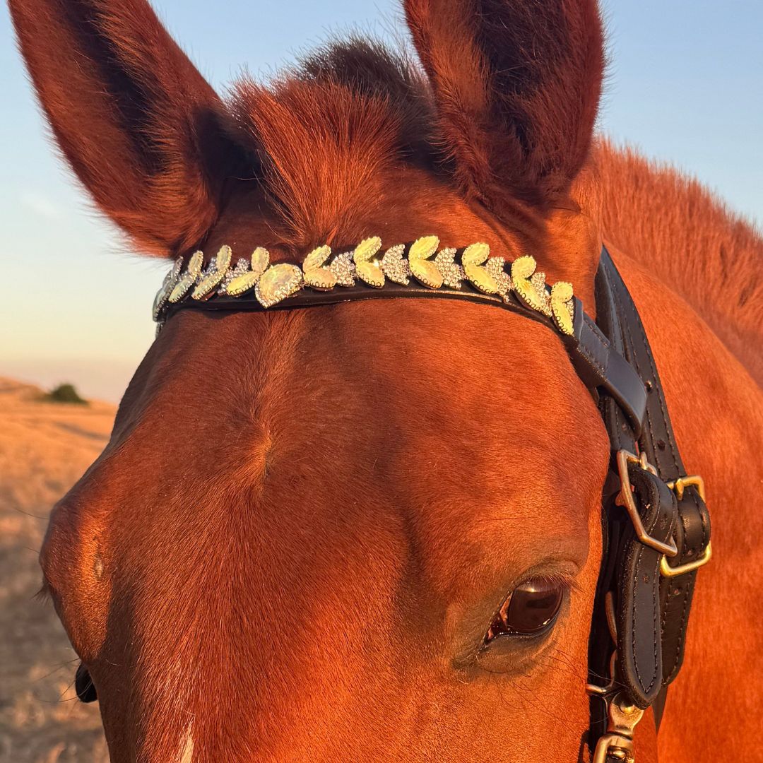 Holographic Saddle Pad Set