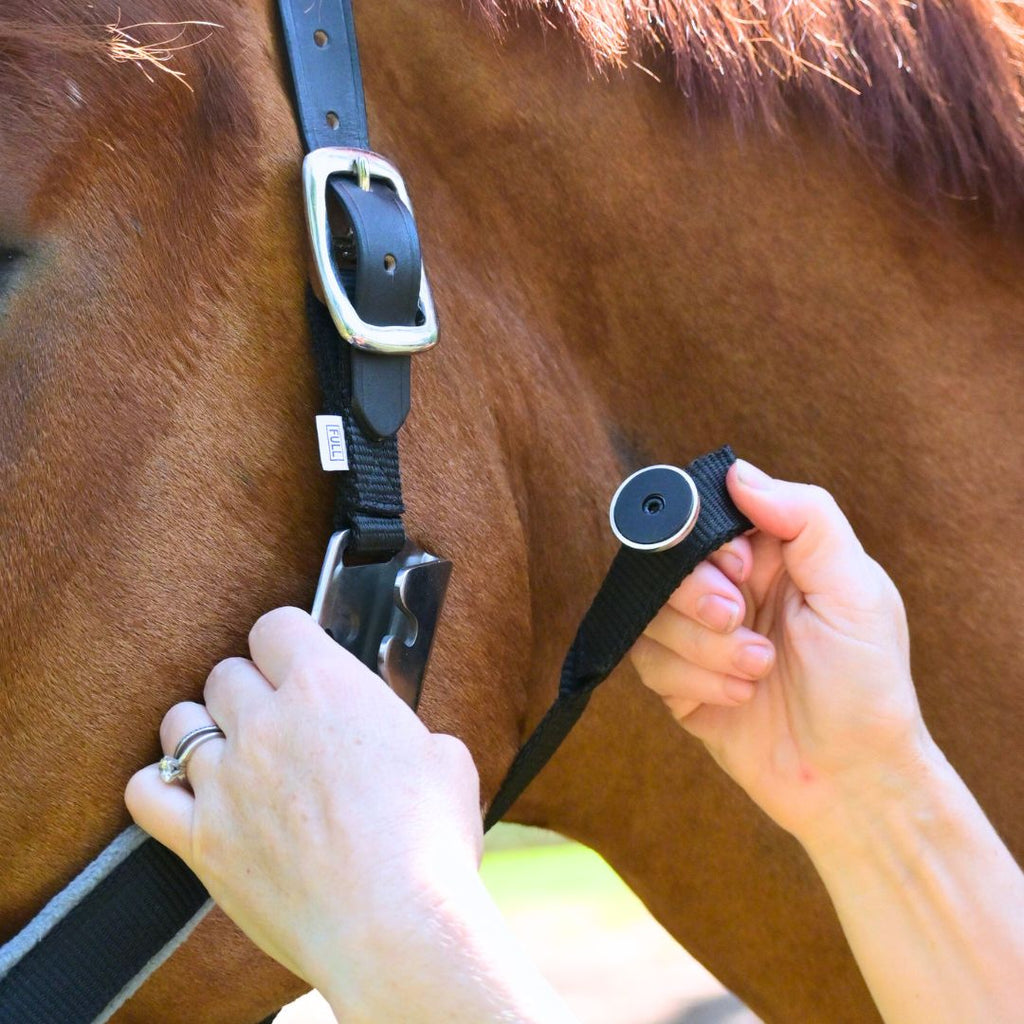 Magna Halter ™ in Black with Fleece Noseband and Leather Breakaway