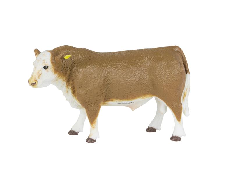 HEREFORD BULL