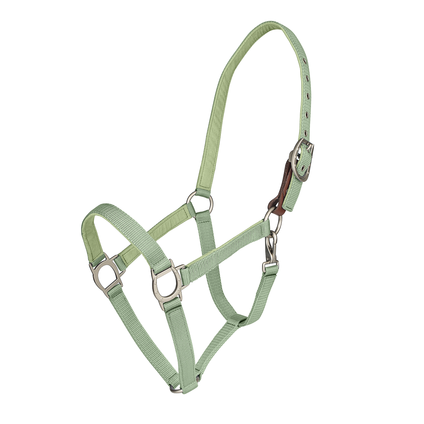 Color Collection by Ovation® Lucky Breakaway Halter - Cactus