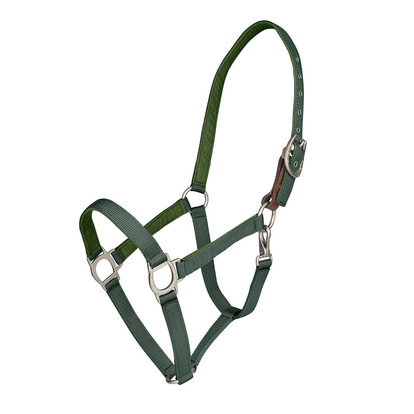 Color Collection by Ovation® Lucky Breakaway Halter - Hunter – Burch ...