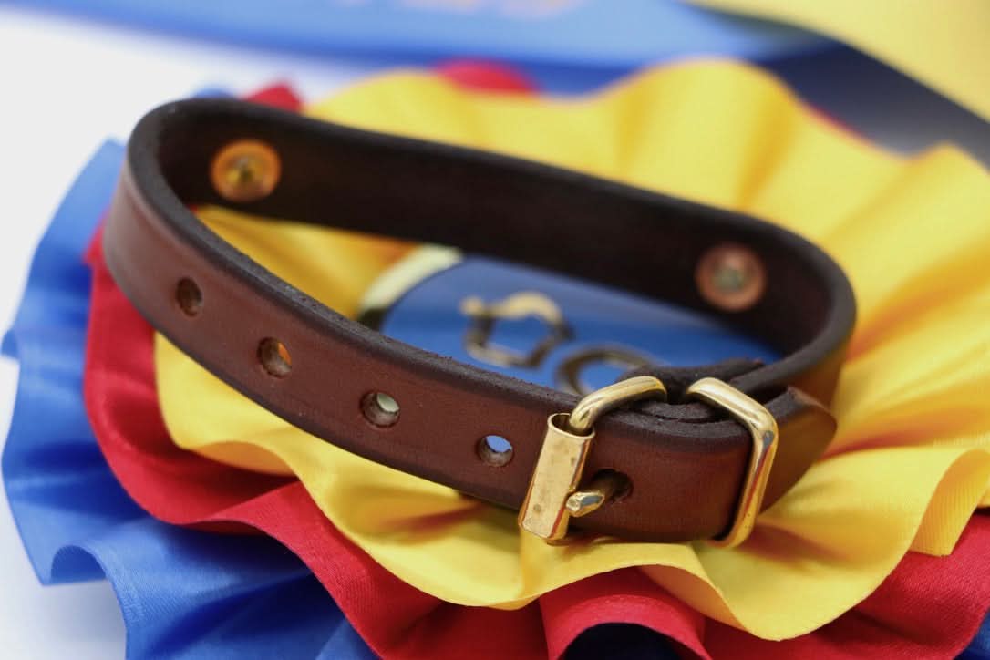 Toddler Sized Pony Bracelet
