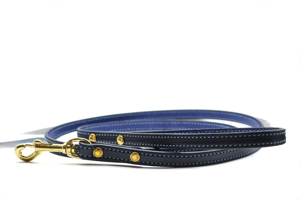 Limited Edition Light Blue Stitched Dog Leash