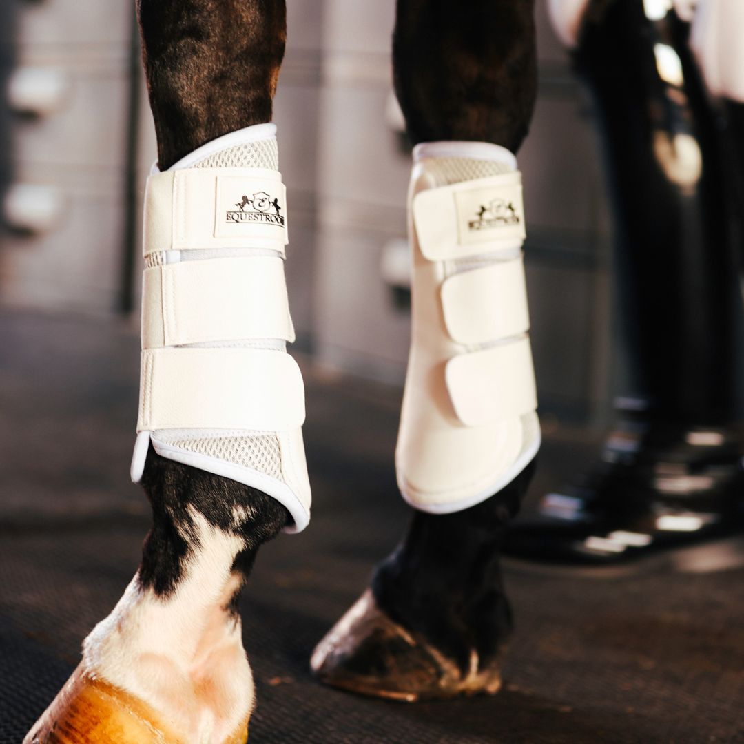 B&W - White Saddle Pad Set