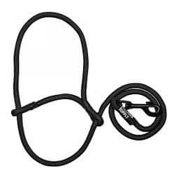 Sheep Halter with Snap Lead - Black (Blackout)