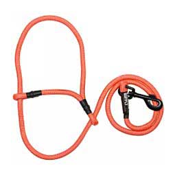 Sheep Halter with Snap Lead - Orange (Electric Orange)