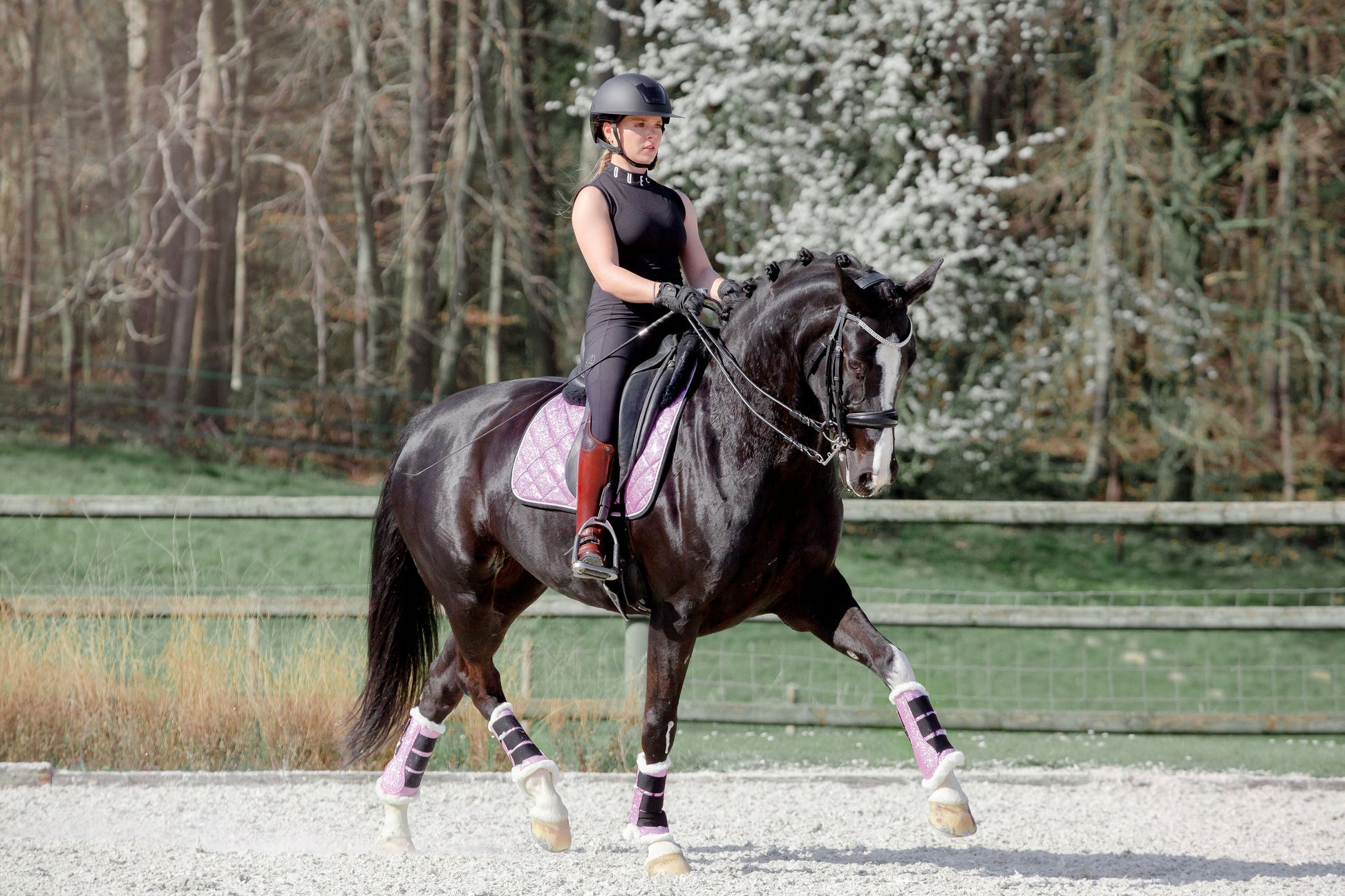 Lavender Saddle Pad Set