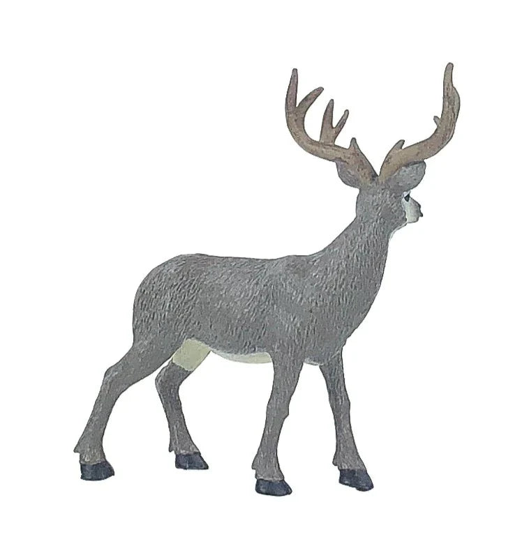 Mule Deer