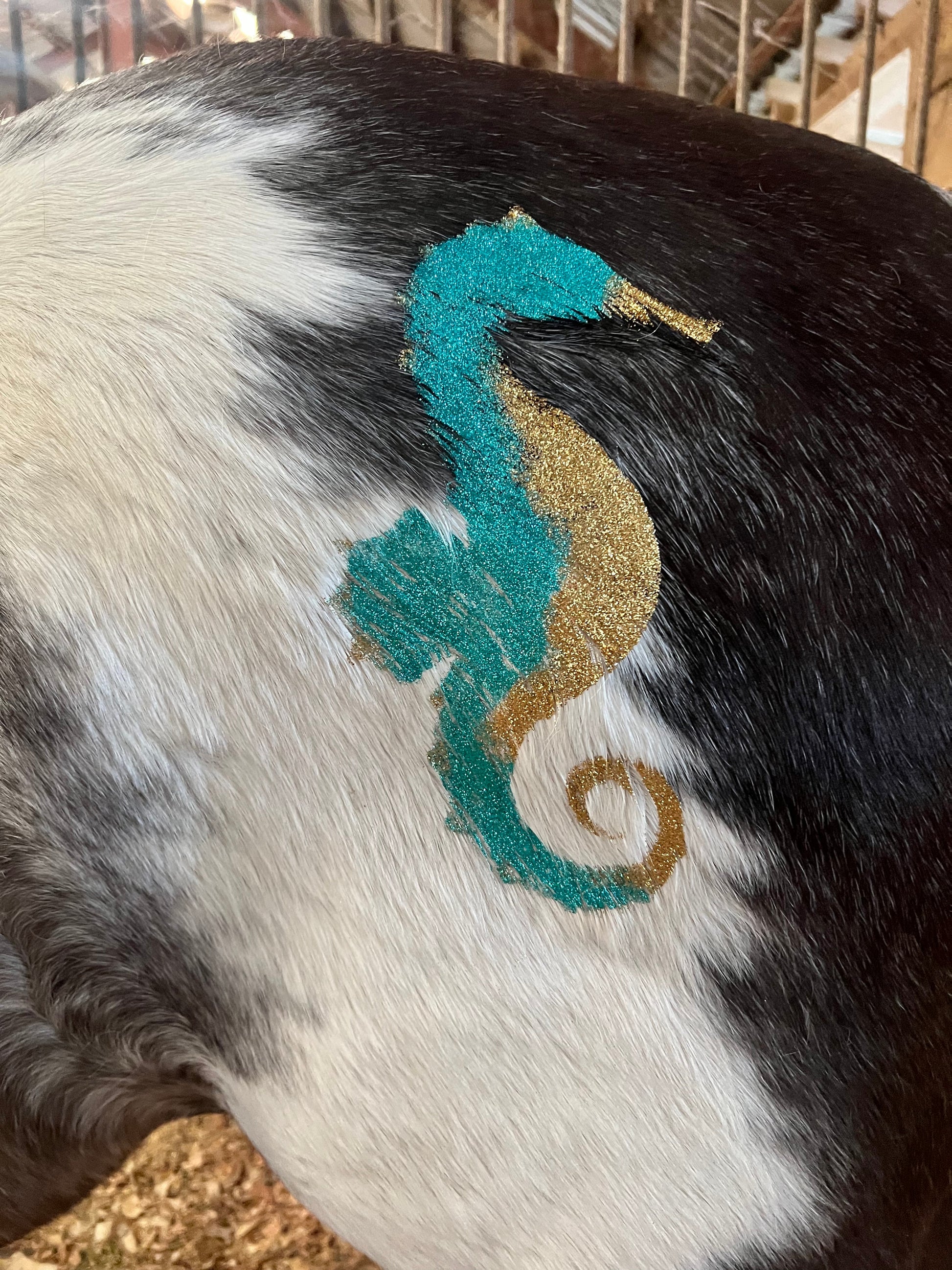 Seahorse