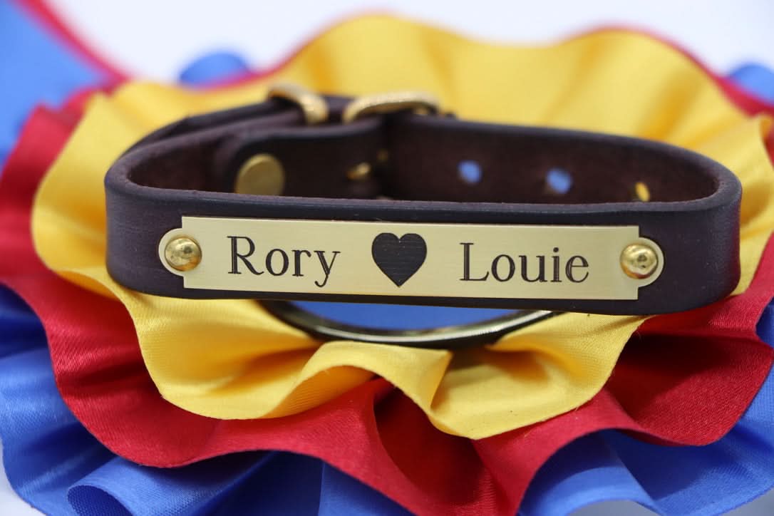 Pony Bracelet