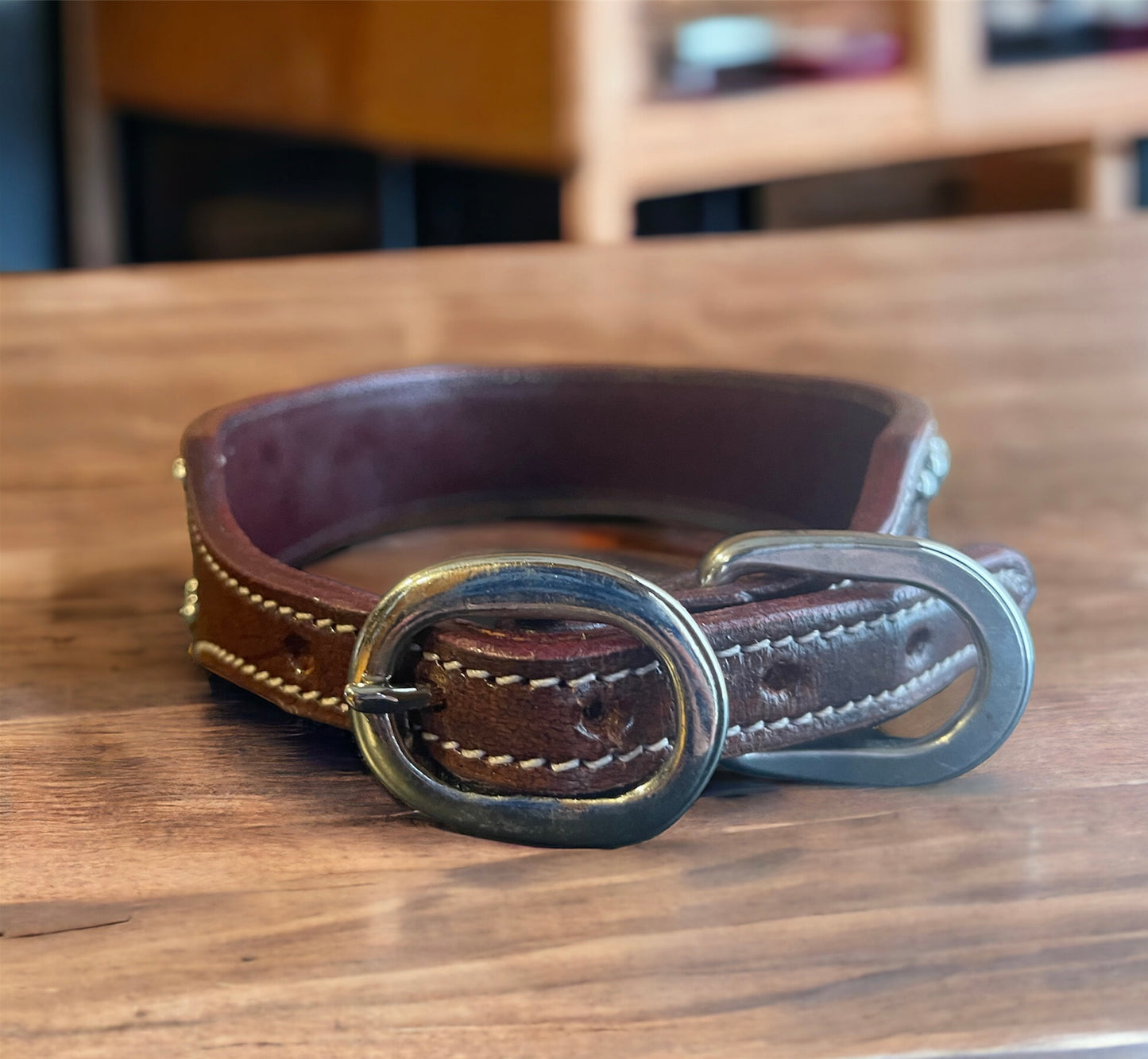 Dark leather tooled dog collar