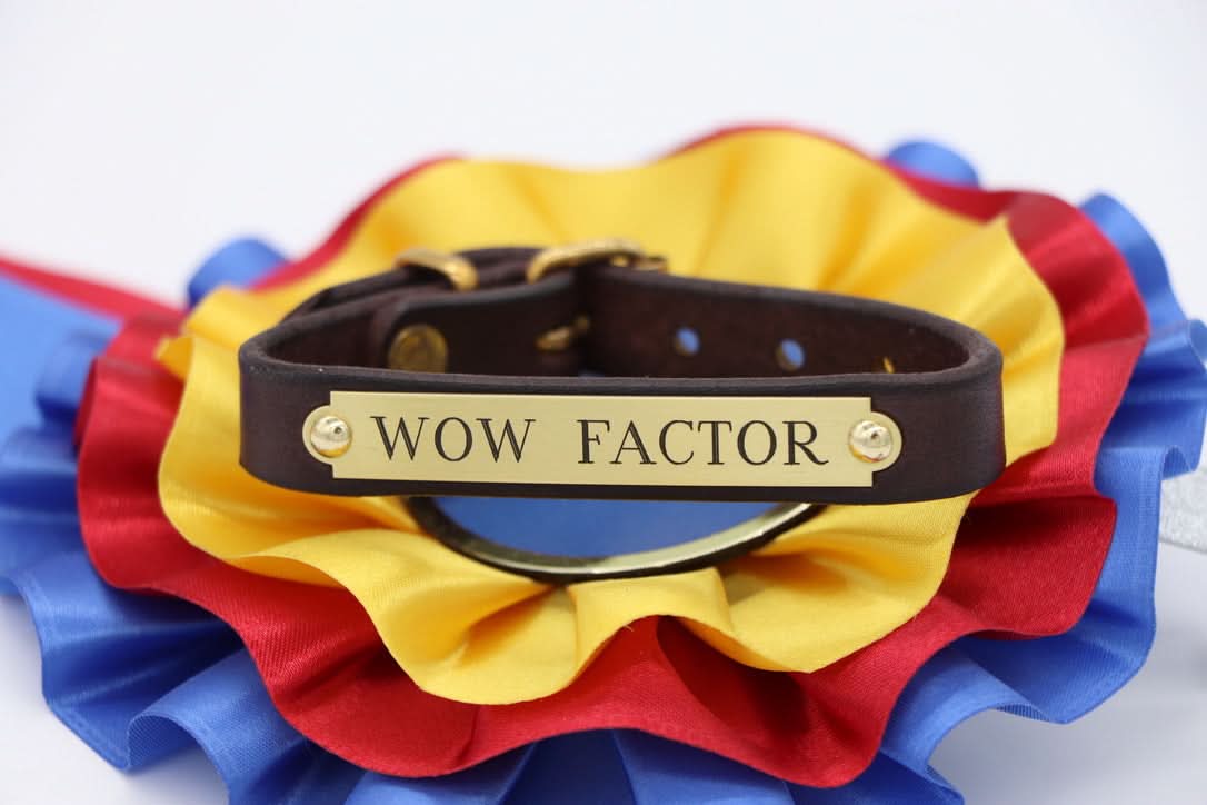 Pony Bracelet