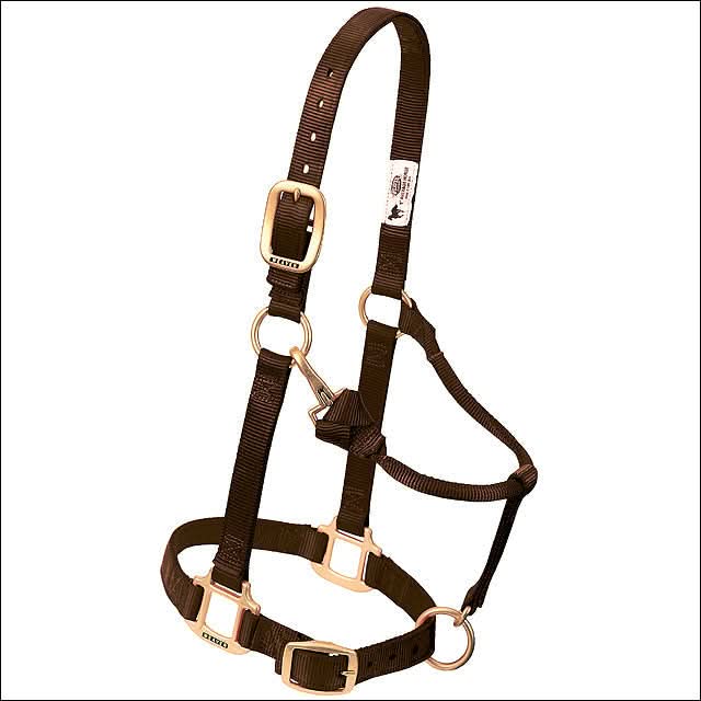 Large Weaver Horse Halter Nylon Heat Sealed Buckle Chin Throat Brown