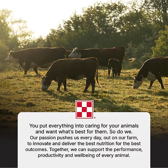 Purina Precon Complete with RX3 Cattle Feed, 50 lb. Bag