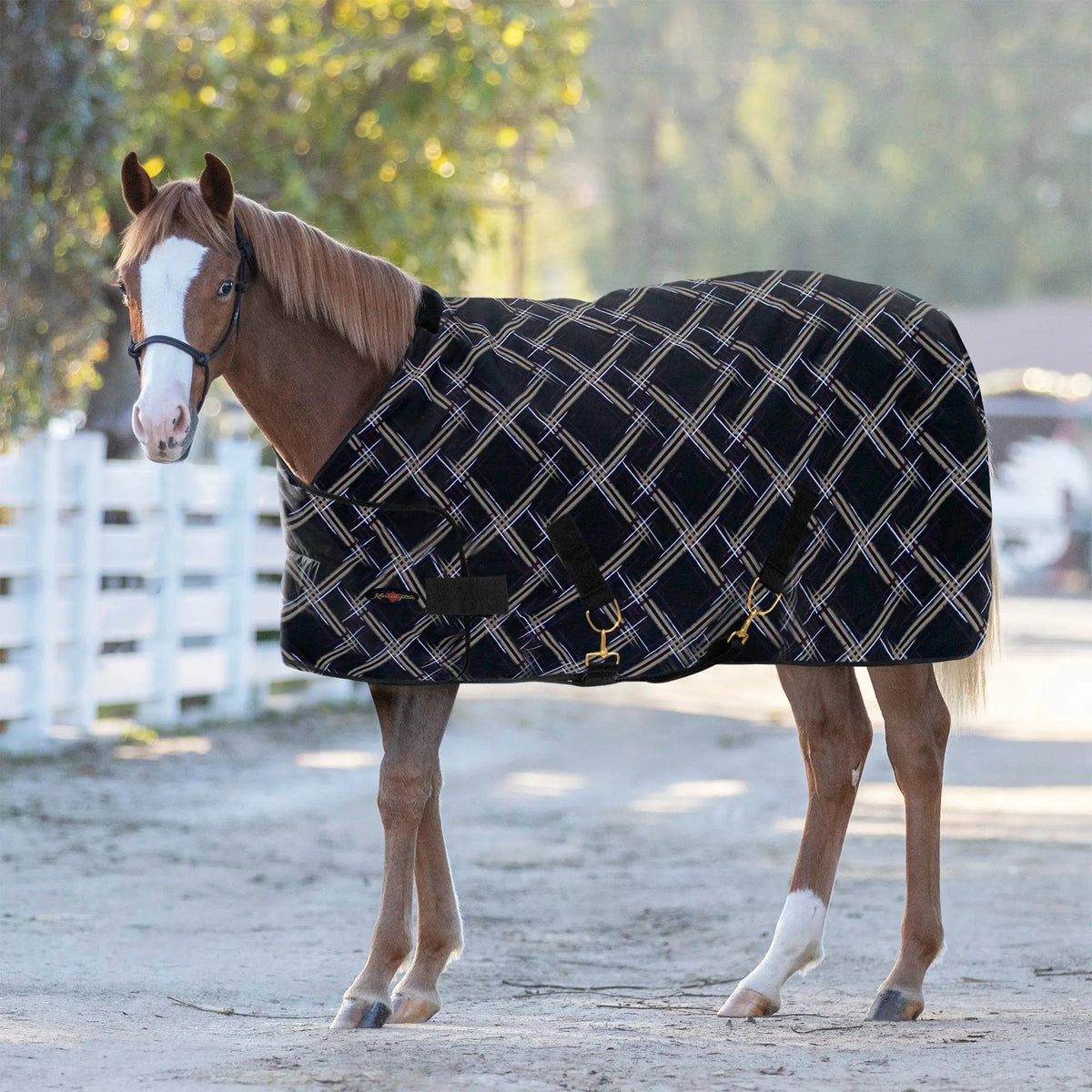 1200D Adjustable Juvenile 180G Medium Weight Winter Turnout Blanket - Waterproof & Breathable