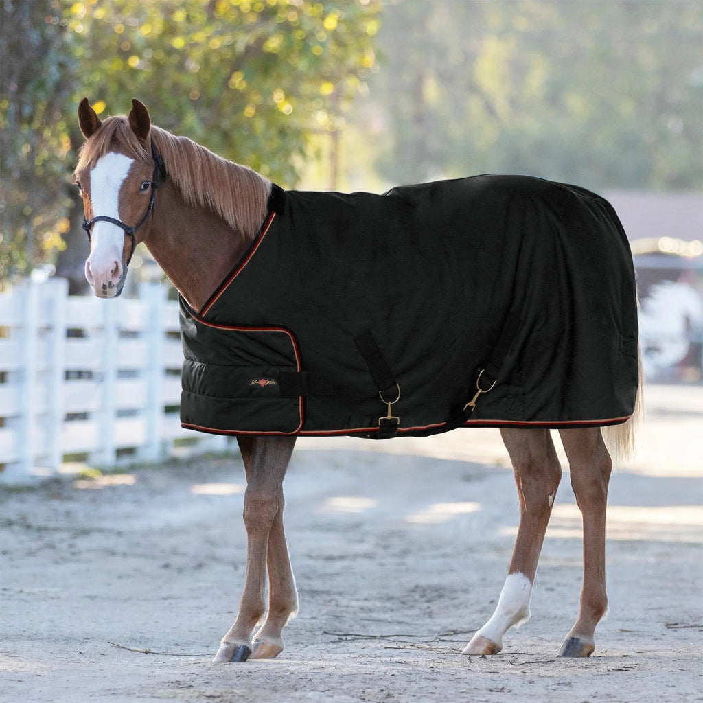 1200D Adjustable Weanling 180G Medium Weight Winter Turnout Blanket - Waterproof & Breathable