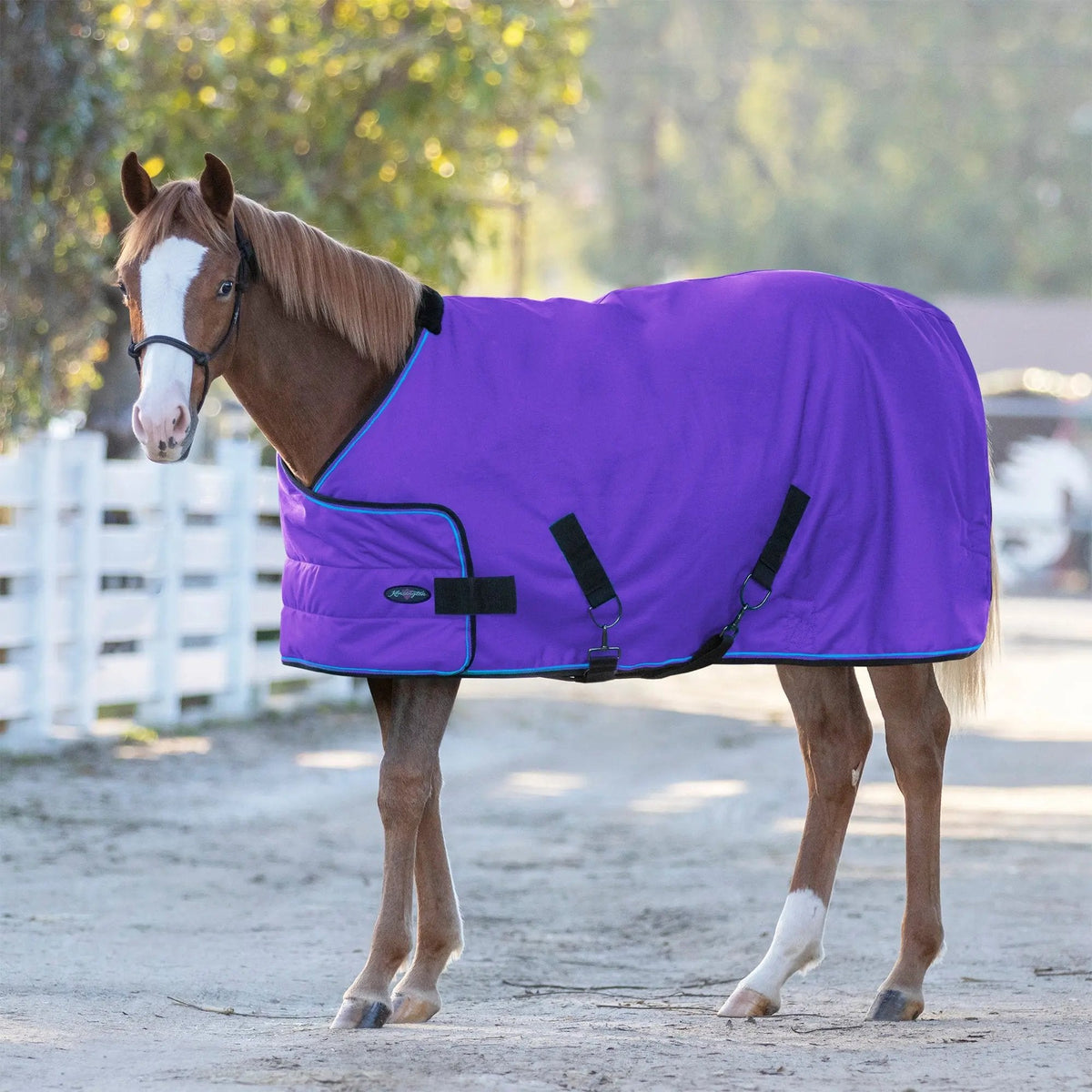1200D Adjustable Juvenile 180G Medium Weight Winter Turnout Blanket - Waterproof & Breathable