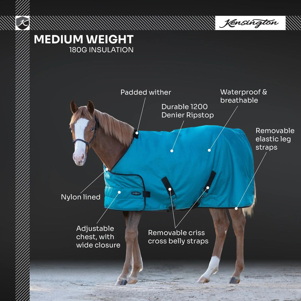 1200D Adjustable Weanling 180G Medium Weight Winter Turnout Blanket - Waterproof & Breathable