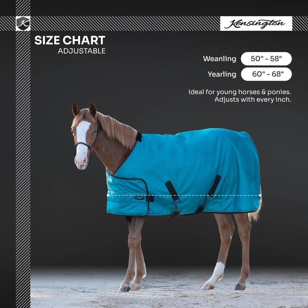 1200D Adjustable Juvenile 180G Medium Weight Winter Turnout Blanket - Waterproof & Breathable