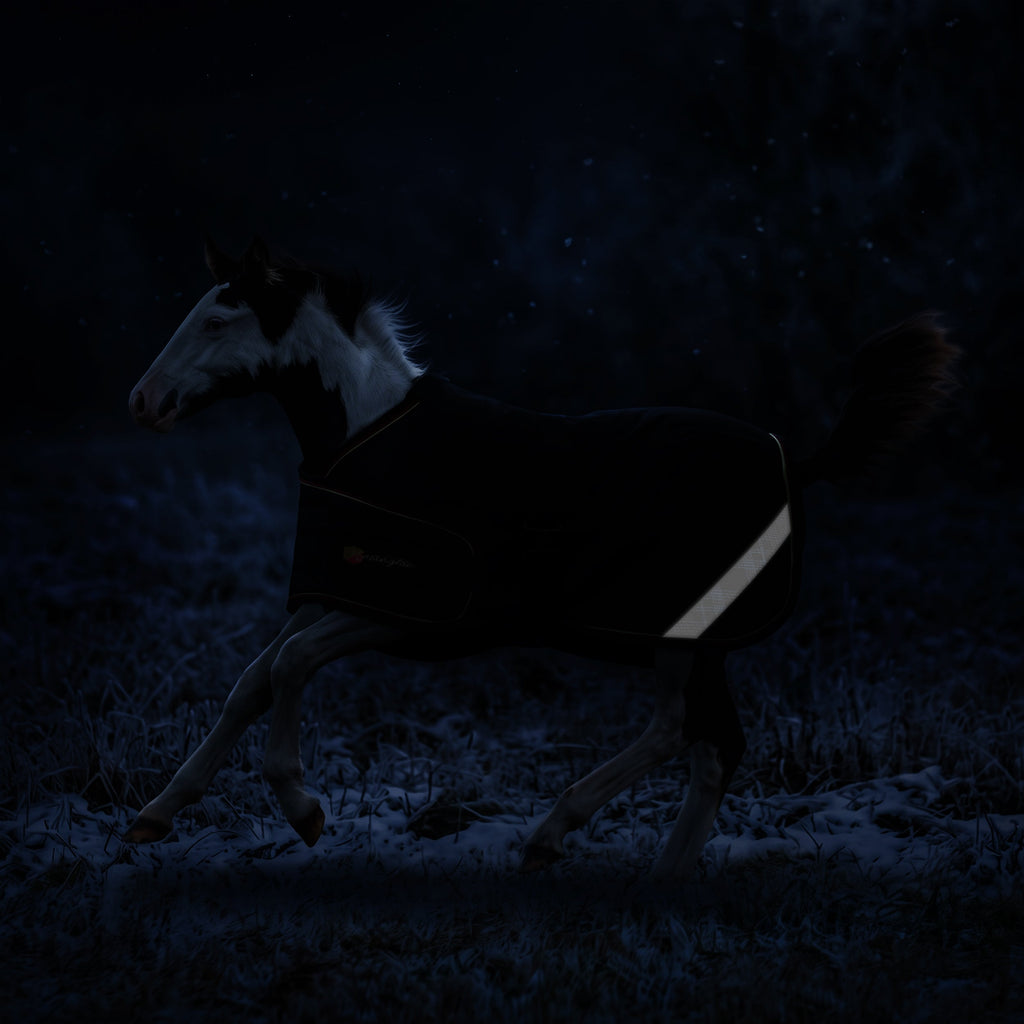 New 1200D Adjustable Foal 180G Medium Weight Winter Turnout Blanket - Waterproof & Breathable