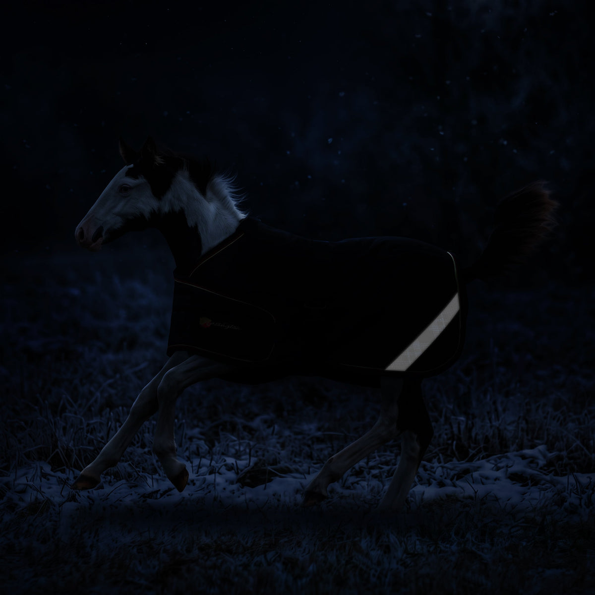 New 1200D Adjustable Foal 180G Medium Weight Winter Turnout Blanket - Waterproof & Breathable