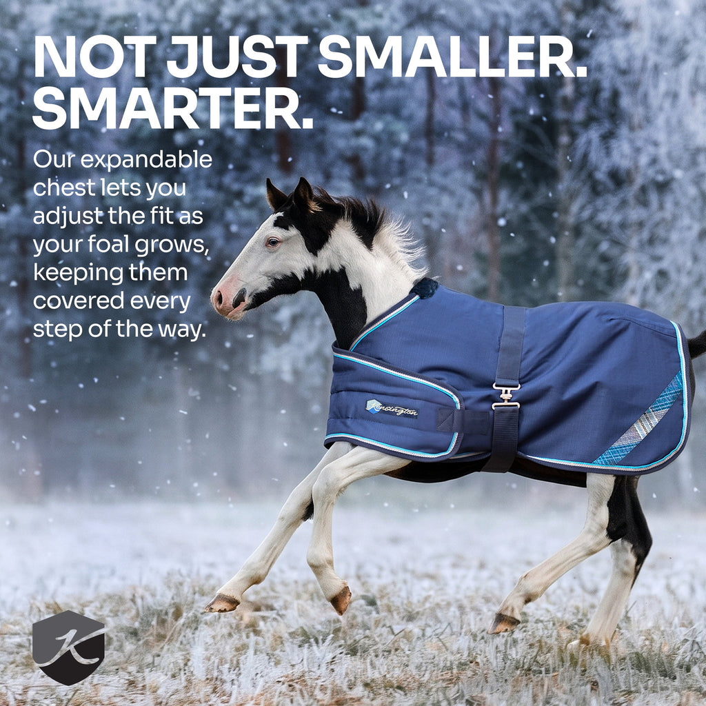 New 1200D Adjustable Foal 180G Medium Weight Winter Turnout Blanket - Waterproof & Breathable