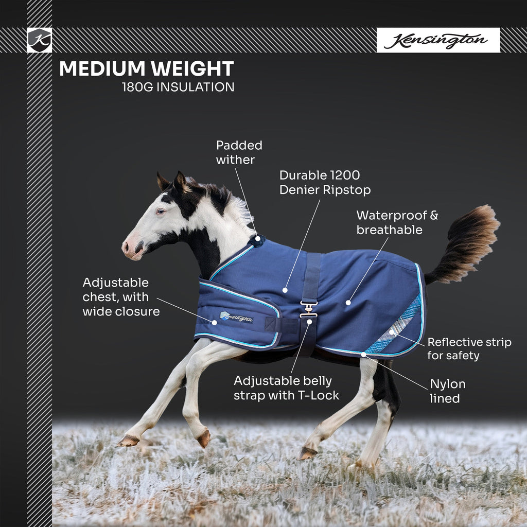 New 1200D Adjustable Foal 180G Medium Weight Winter Turnout Blanket - Waterproof & Breathable