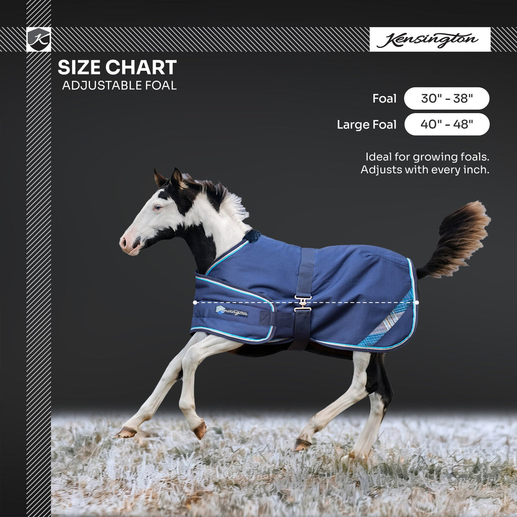 New 1200D Adjustable Foal 180G Medium Weight Winter Turnout Blanket - Waterproof & Breathable