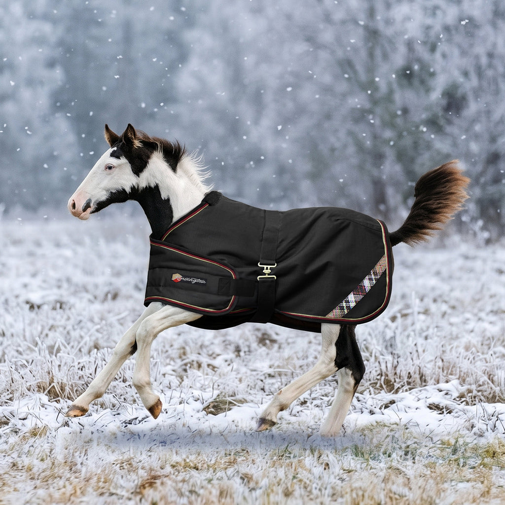 New 1200D Adjustable Foal 180G Medium Weight Winter Turnout Blanket - Waterproof & Breathable
