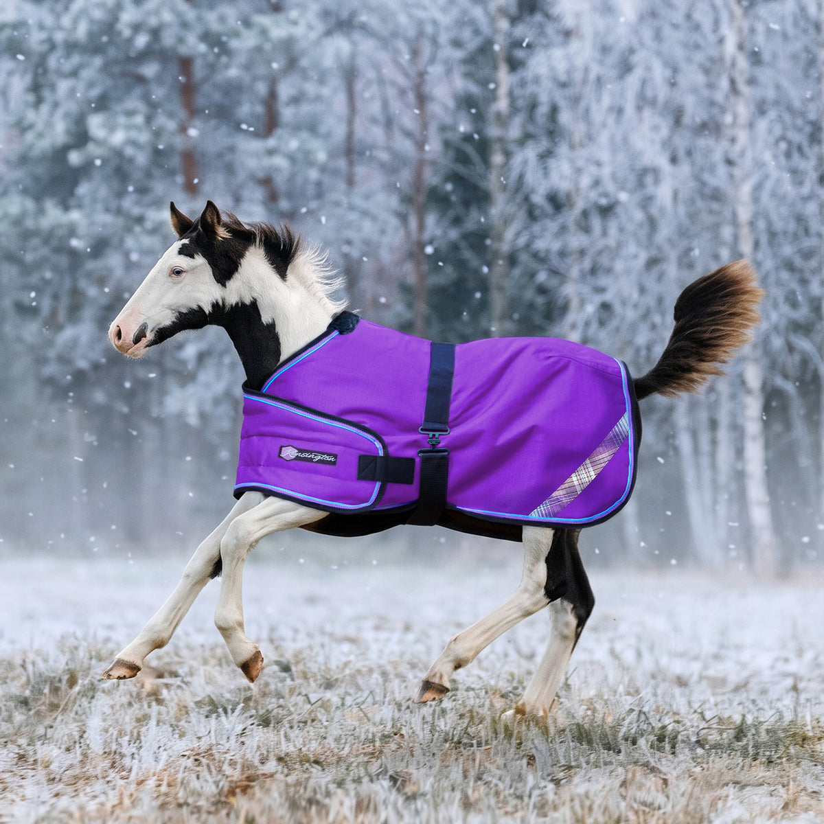 New 1200D Adjustable Foal 180G Medium Weight Winter Turnout Blanket - Waterproof & Breathable
