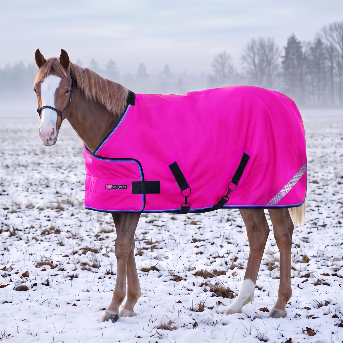 New 1200D Adjustable Juvenile 180G Medium Weight Winter Turnout Blanket - Waterproof & Breathable
