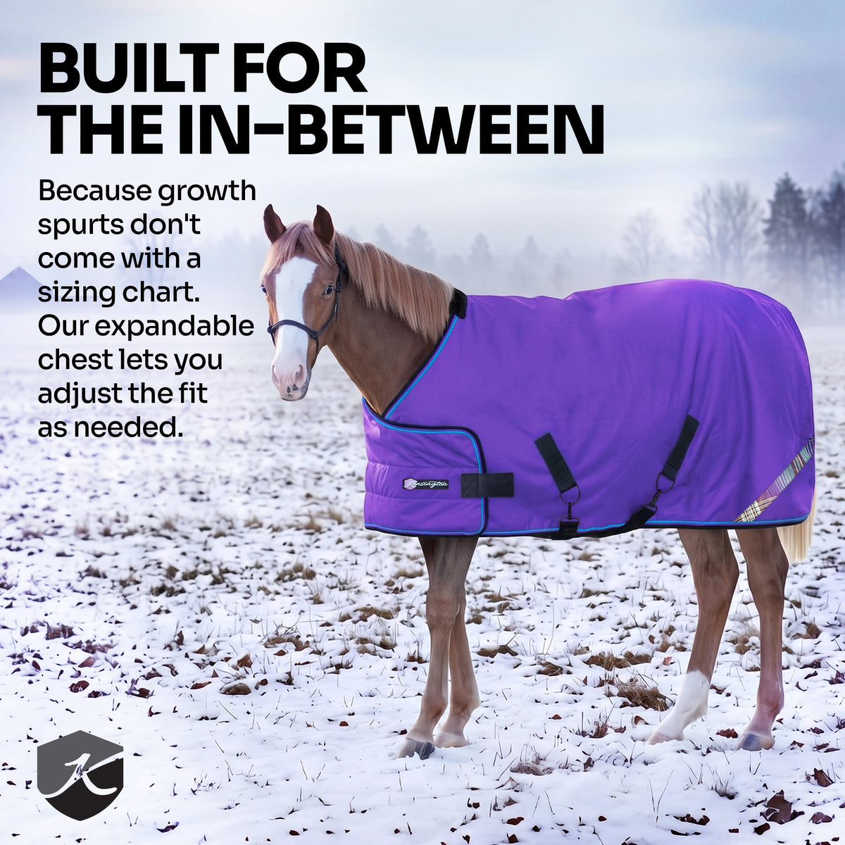 New 1200D Adjustable Juvenile 180G Medium Weight Winter Turnout Blanket - Waterproof & Breathable