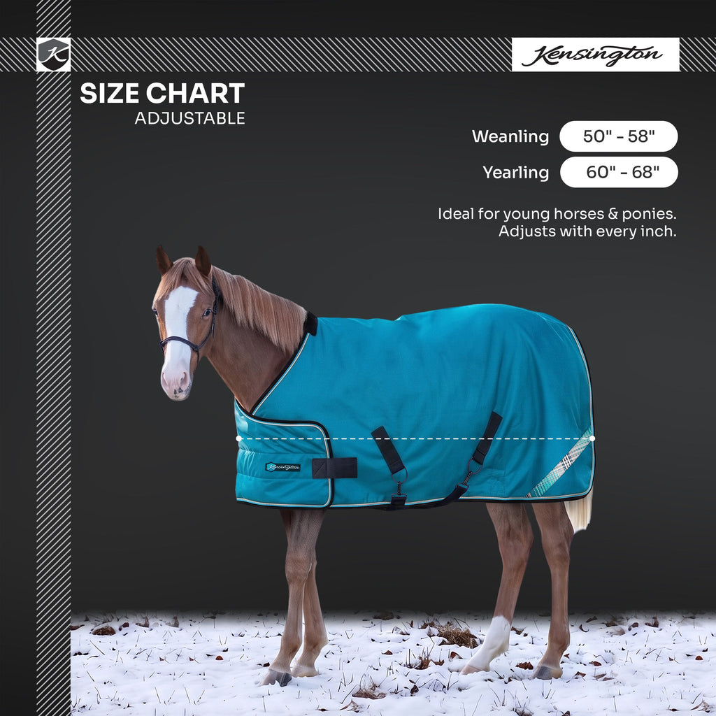 New 1200D Adjustable Juvenile 180G Medium Weight Winter Turnout Blanket - Waterproof & Breathable