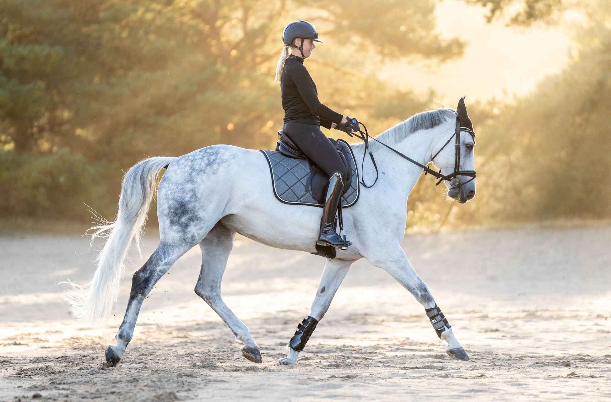 Stardust Grey Saddle Pad Set