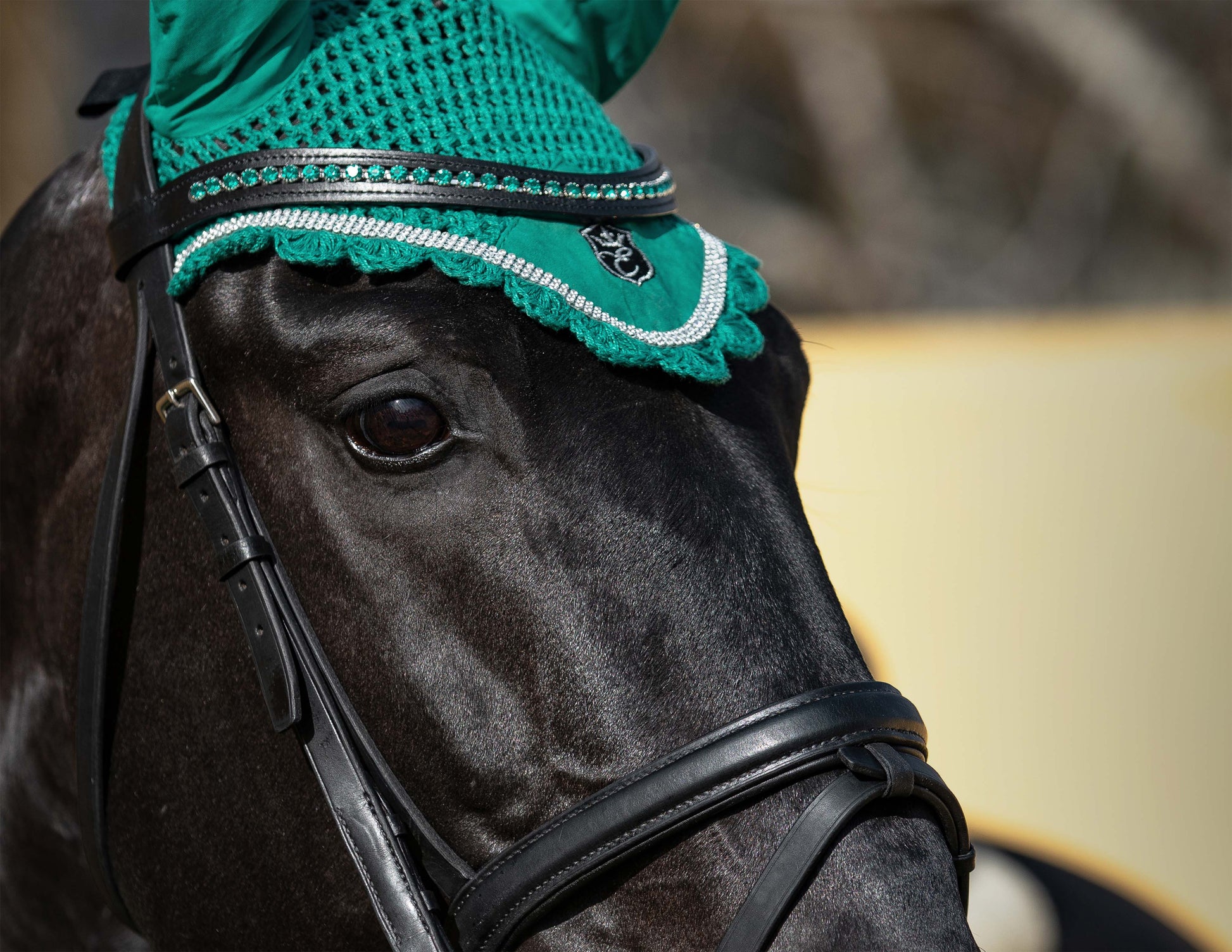 Teal Browband