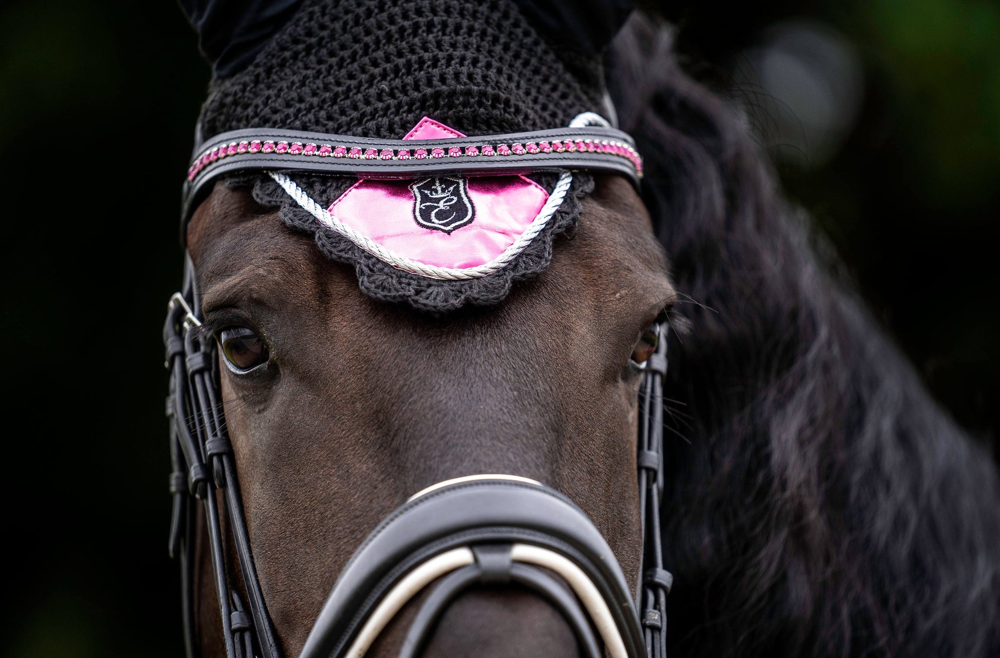 Neon Pink Browband