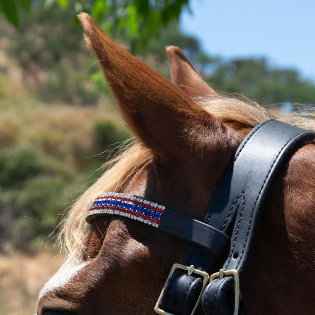 Patriot American Saddle Pad Set