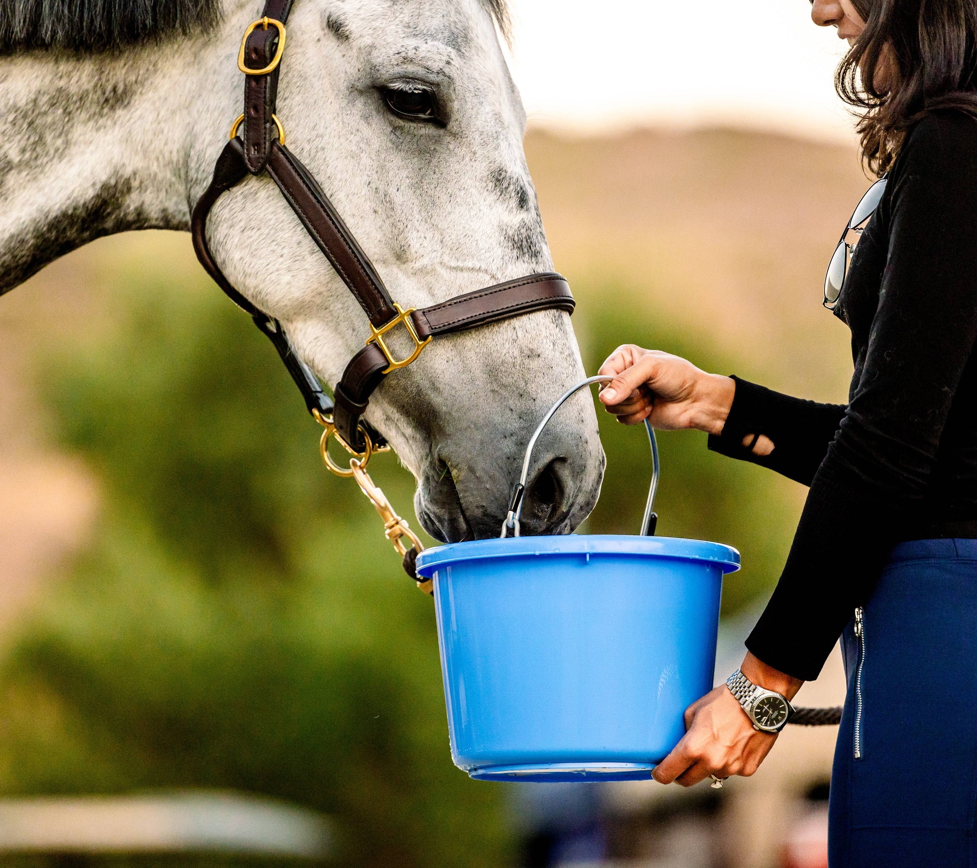 Horse Quencher