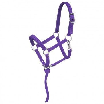 TOUGH1 MINIATURE NYLON PADDED HALTER - SMALL - PURPLE