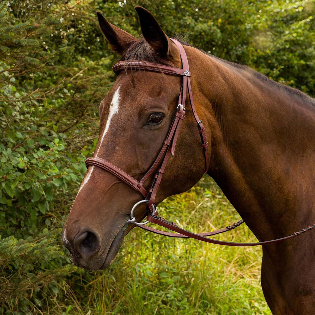 Henri de Rivel Advantage Fancy Raised Padded Bridle With Laced Reins