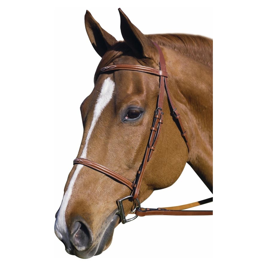 Henri de Rivel Pro Fancy Raised Bridle With Laced Reins