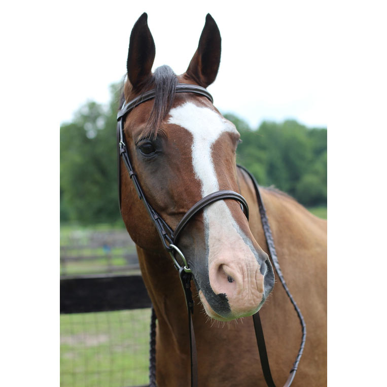 Henri de Rivel Pro Fancy Raised Bridle With Laced Reins
