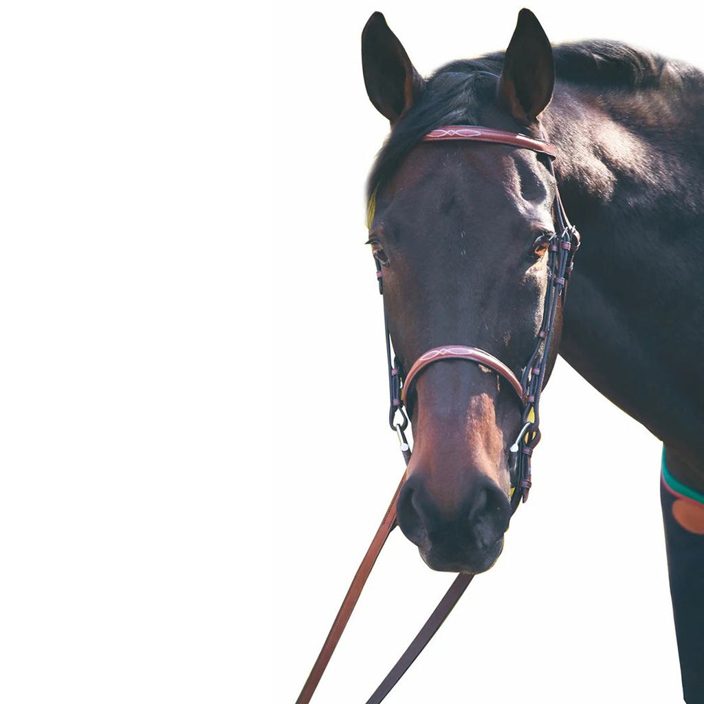 Henri de Rivel Advantage Fancy Raised Snaffle Bridle With Laced Reins