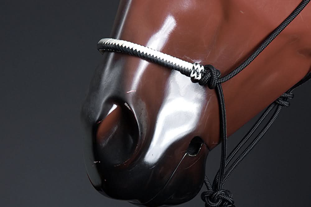 Classic Equine Horse Nylon Rawhide Noseband Halter Black White