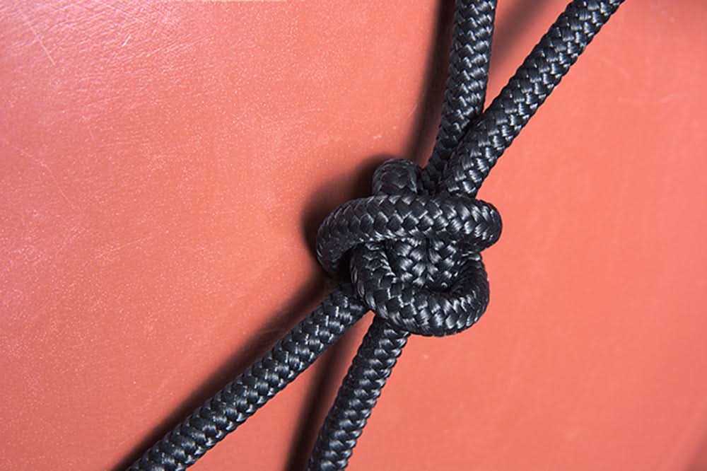 Classic Equine Horse Nylon Rawhide Noseband Halter Black White