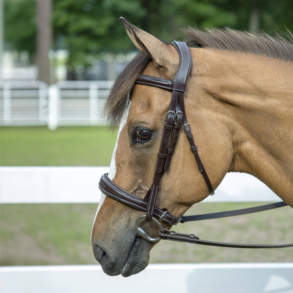 Henri de Rivel Pro Mono-Crown Padded Wide Noseband Bridle