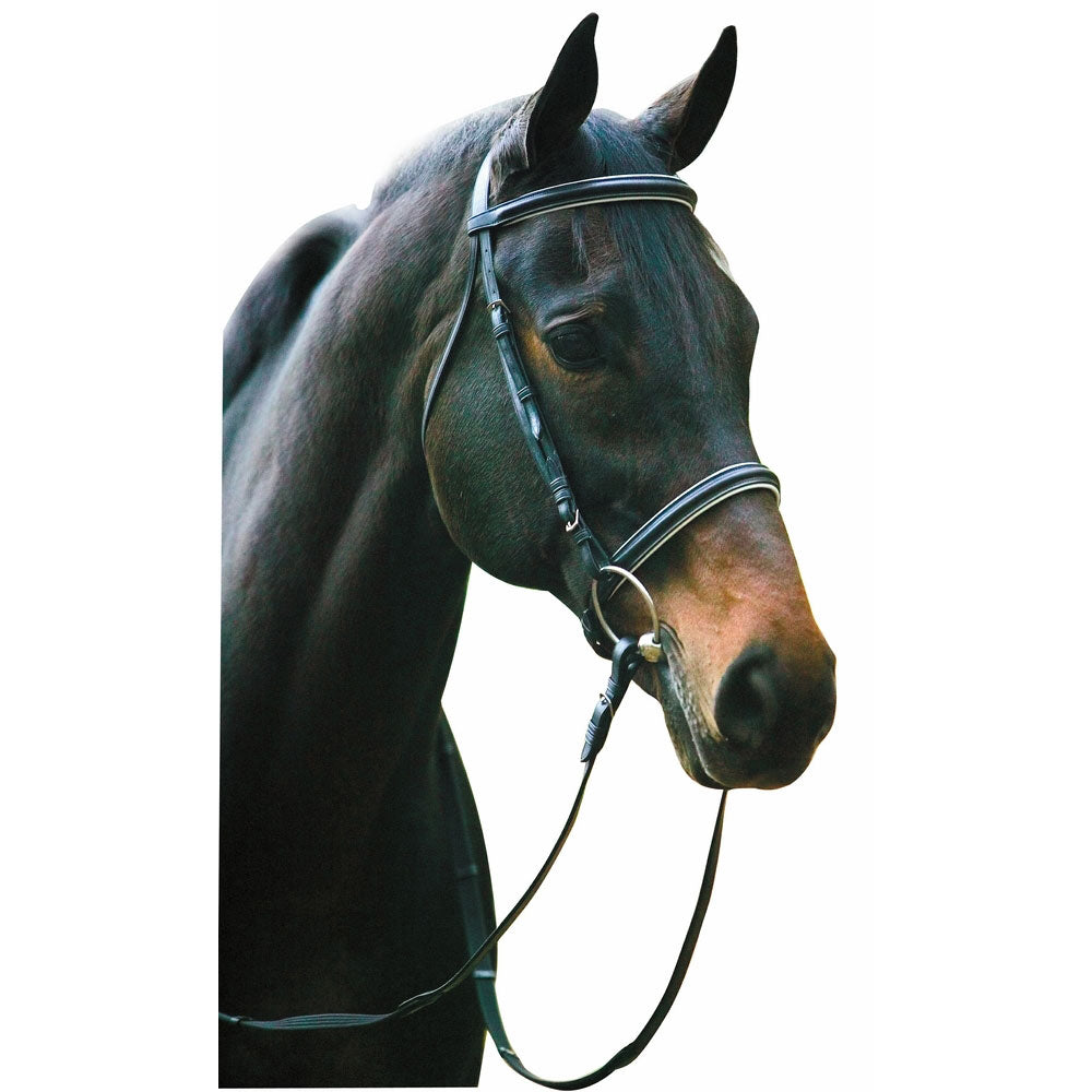 Henri de Rivel Pro Padded Dressage Bridle with Web Reins