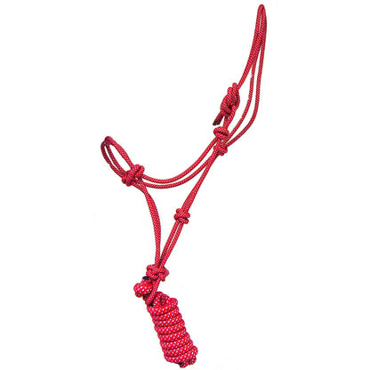 Rope Halter and Lead with Rope Nose