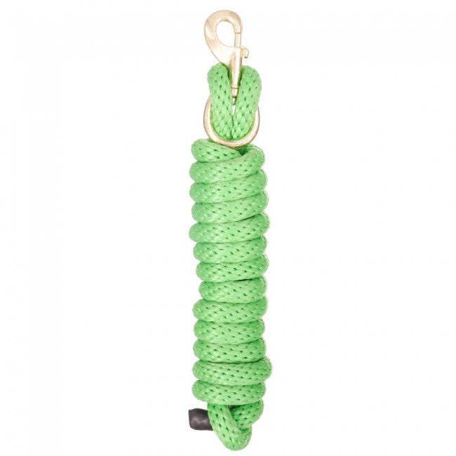 TOUGH1 POLY LEAD WITH REPLACEABLE BOLT SNAP - NEON GREEN