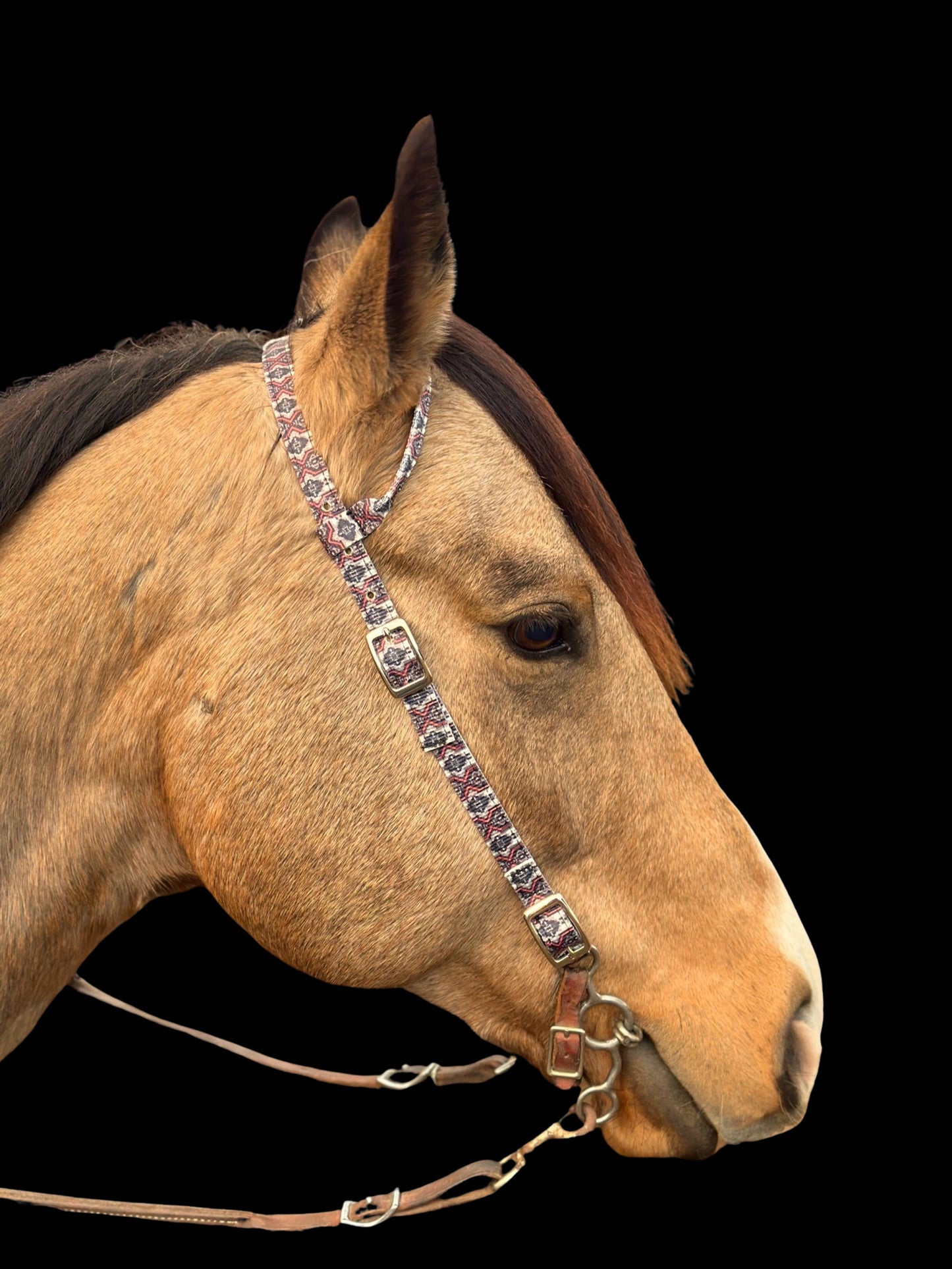 Nylon One Ear Headstall